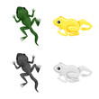 Isolated object of wildlife and bog symbol. Collection of wildlife and reptile stock symbol for web.