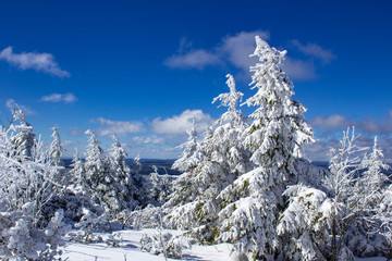 winter landscape at the Fichtelberg Oberwiesenthal