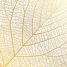 Background Texture Leaf. Vector Illustration.