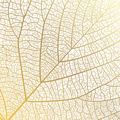 Background texture leaf. Vector illustration.