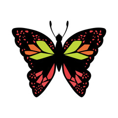 Poster - Butterfly Icon