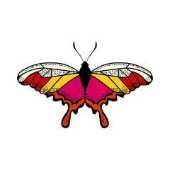 Poster - Butterfly Icon