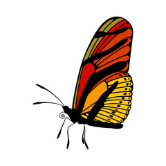 Poster - Butterfly Icon