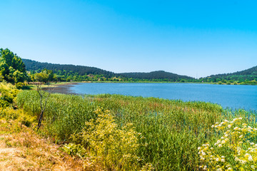 Sticker - Lake View in Natural Forest