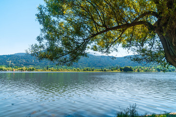 Sticker - Lake View in Natural Forest