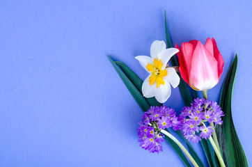 Wall Mural - Small bouquet of spring garden flowers on bright background.