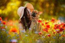 Young Girl And Her French Bulldog Puppy In A Field With Red Poppies