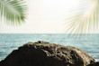 Blurred summer ocean with green palm leaves and sun. Big stone in focus