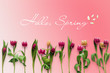 Hello Spring with tulips flatlay. Greeting card on the pink background. Flowers layout top view