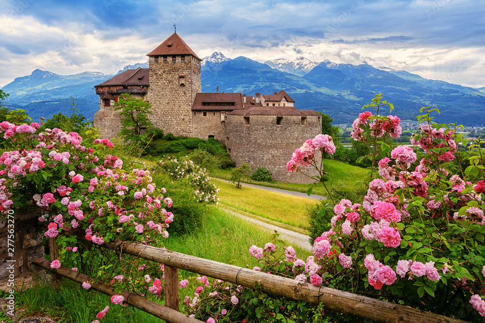 Obraz na płótnie Vaduz castle, Liechtenstein, Alps mountains w salonie