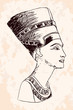 Egyptian Queen Nefertiti. Vector image stylized as a pencil drawing on a beige background.