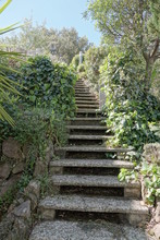 Stone Stairs Near The House