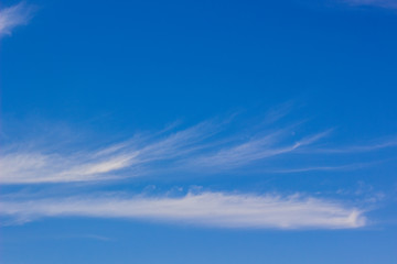 Wall Mural - simple natural background of blue sky with white cloud  