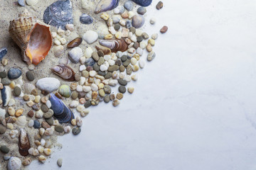 Seashells and pebbles on sand with space for text