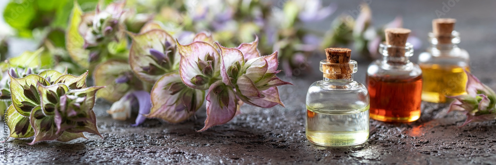 Panoramic header of essential oil bottles and clary sage - obrazy, fototapety, plakaty 