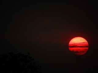 Sunset with golden sky and bright sun