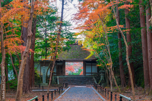 京都 法然院山門と紅葉 Stock Photo Adobe Stock 京都 法然院山門と紅葉 Stock Photo Adobe Stock
