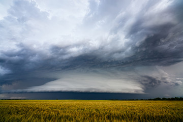 Wall Mural - dramatic storm clouds over a field