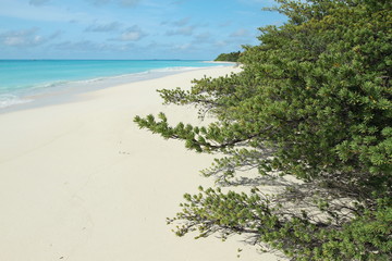 beach and sea