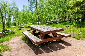 Wall Mural - Santa Fe National Forest park Sangre de Cristo mountains with green aspen trees in spring and empty picnic table