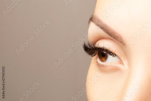 Brown Eye With Beautiful Long Lashes Closeup With Copy Space Brown Eye With Beautiful Long Lashes Closeup With Copy Space