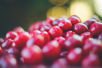 Wall Mural - Fresh sweet red cherry in a bowl. Ripe sweet cherry. Fresh berries. Harvest of sweet cherries. Ripe red cherry. Summer harvest in the garden.