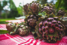 Freshly Picked Artichokes On A Table
