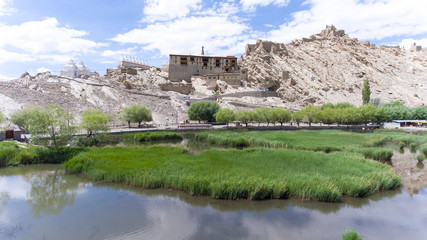 the shey monastery or gompa and the shey palace complex are structures located on a hillock in shey,