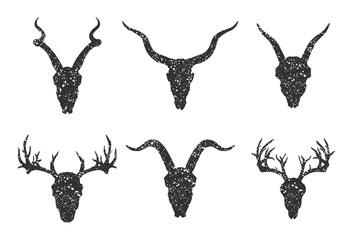 Vector set of six hand drawn skulls of horned animals:  antelopes, deer and goats on white background.