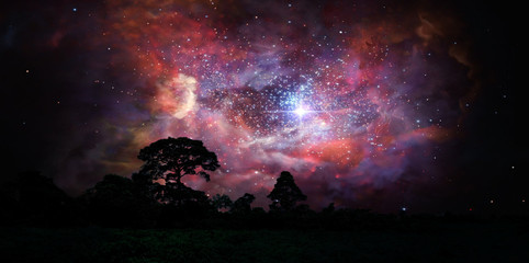 Wall Mural - blur ancient stardust nebula back on night cloud sky over silhouette forest