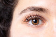 © Alessandro Grandini - An extreme close up view on the brown eye of a sexy young Caucasian woman with black hair. Long black lashes and a healthy complexion. Copy space on the left.