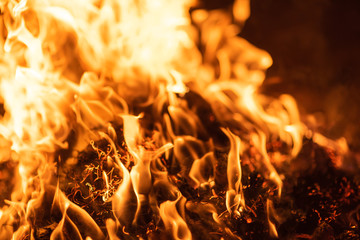 Large burning fire with soft glowing flame and sparkling around.Fire flames on black background