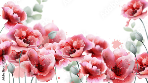 Dekoracja na wymiar  kwiaty-maku-rozowe-tlo-wektor-akwarela-letnie-ramki-z-motywami-kwiatowymi
