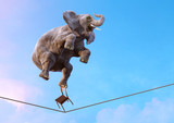 Fototapeta  - Elephant balancing on the tightrope high in the sky above clouds. Life balance, stability, concentration, risk, equilibrium concept over blue sky background. Surreal 3D illustration with copy space