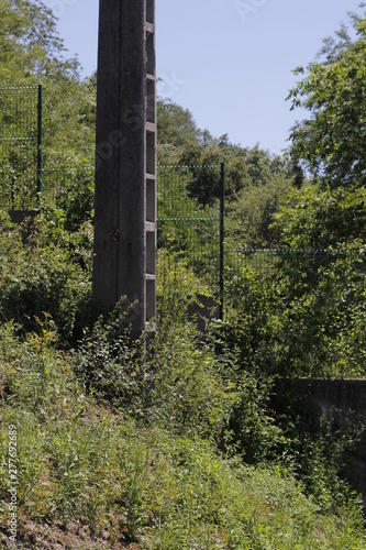 Fotografía Urban park in the suburbs