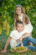© nuzza11 - Child with grapes on nature.