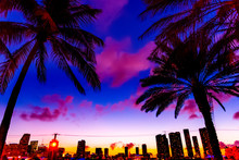 Palm Trees With Downtown Miami On The Background On A Purple Sunset