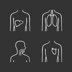 Sticker - Healthy human organs chalk icons set. Liver and lungs in good health. Functioning heart. Wholesome throat. Internal body parts in good shape. Isolated vector chalkboard illustrations