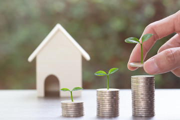 Saving money or property investment concept. A man hand putting coin into rising stack of coins with plant on pile coin on wood table with a small house model. Depicts sustainable financial goal.