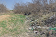 Environmental pollution. People left debris in wildlife. Garbage dump on the grass near the forest  polluting nature and city park with litter and junk. Nature protection, care. Ecology.