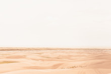 Desert In Sand Dunes 