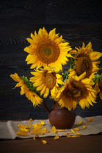 Still Life With Sunflowers In A Clay Pot Against A Wooden Wall.