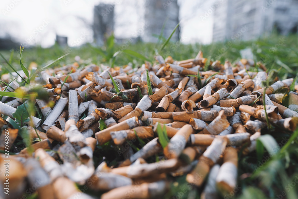 Photo Stock View of the pattern of scattered cigarette butts in the green  grass on the meadow in the park of a big city. The problem of humanity.  Smoking cigarettes, bad habit