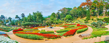 The Stellar Shaped Flower Bed, Mae Fah Luang Garden, Doi Tung, Thailand