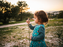 Side View Of Girl Looking At Flower In Park During Sunset