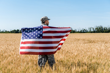 Wall Mural - soldier in cap and uniform holding american flag in golden field