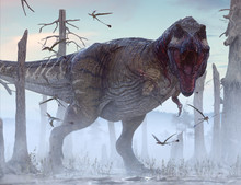 3D Rendering Of Tyrannosaurus Rex.