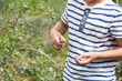 © Valerie - boy holding a toad in a blueberry farm