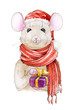 Funny mouse in a cozy winter red hat and warm scarf  watercolor hand painted illustration. A chinese new year symbol of 2020.  Isolaed on white background.