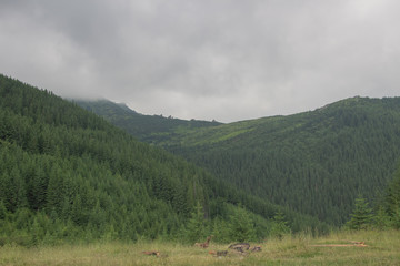 Trekking in the Carpathians, Hike to the border between Ukraine and Romania from Pop Ivan Marmarassky to Pop Ivan Chernogorsky.